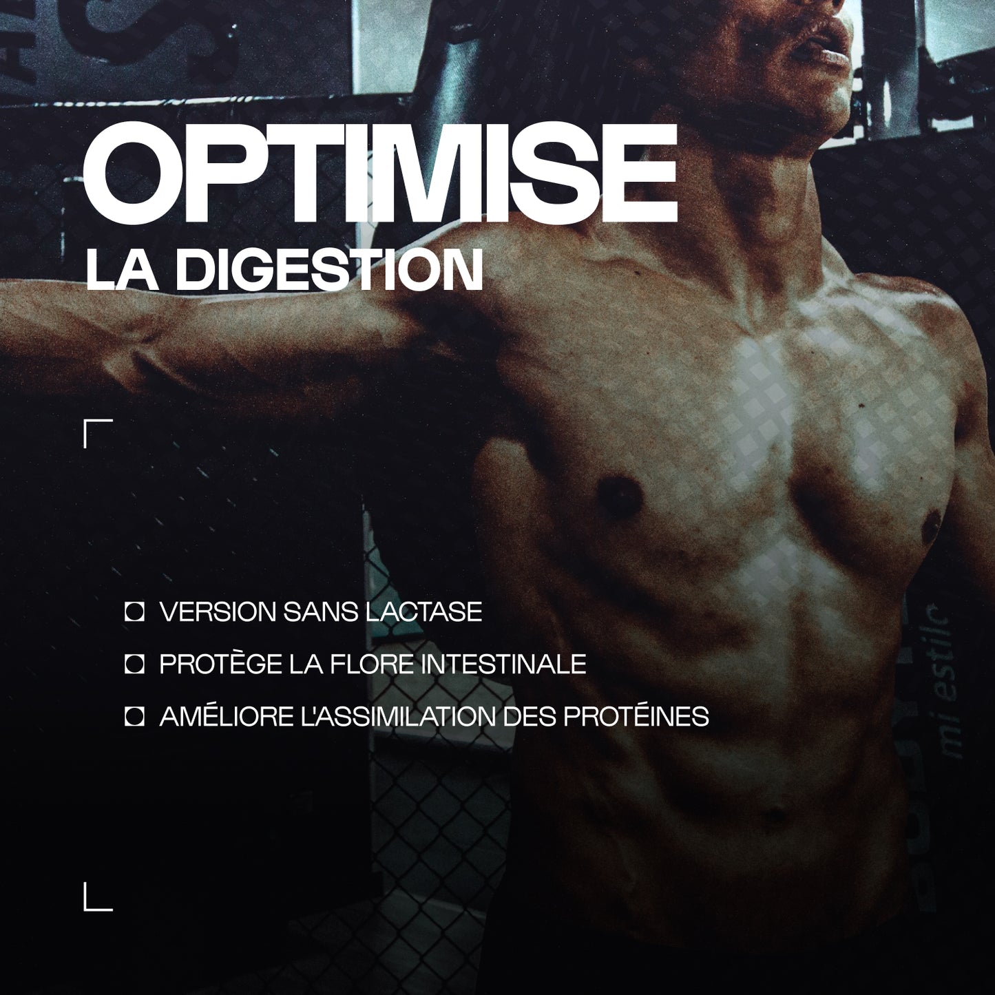 Mix pré & probiotiques