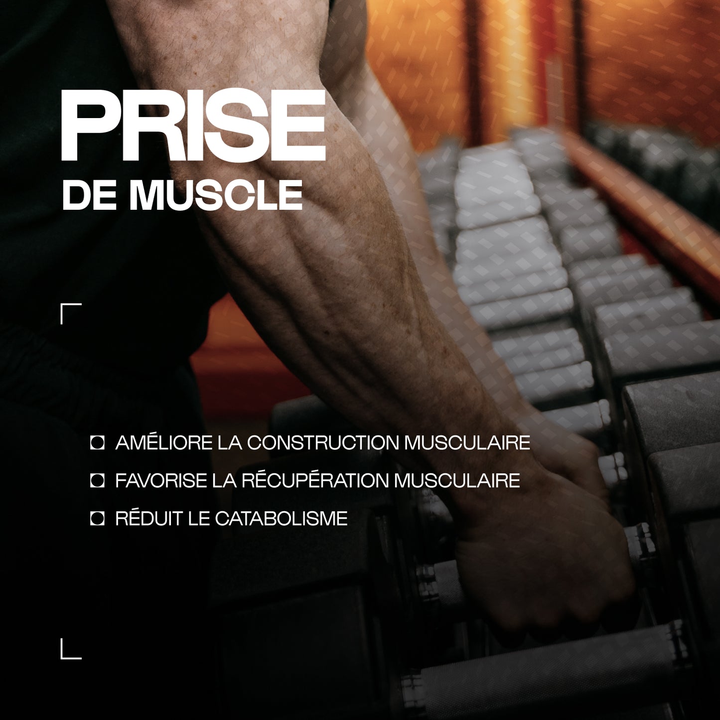 Organisches Eierprotein
