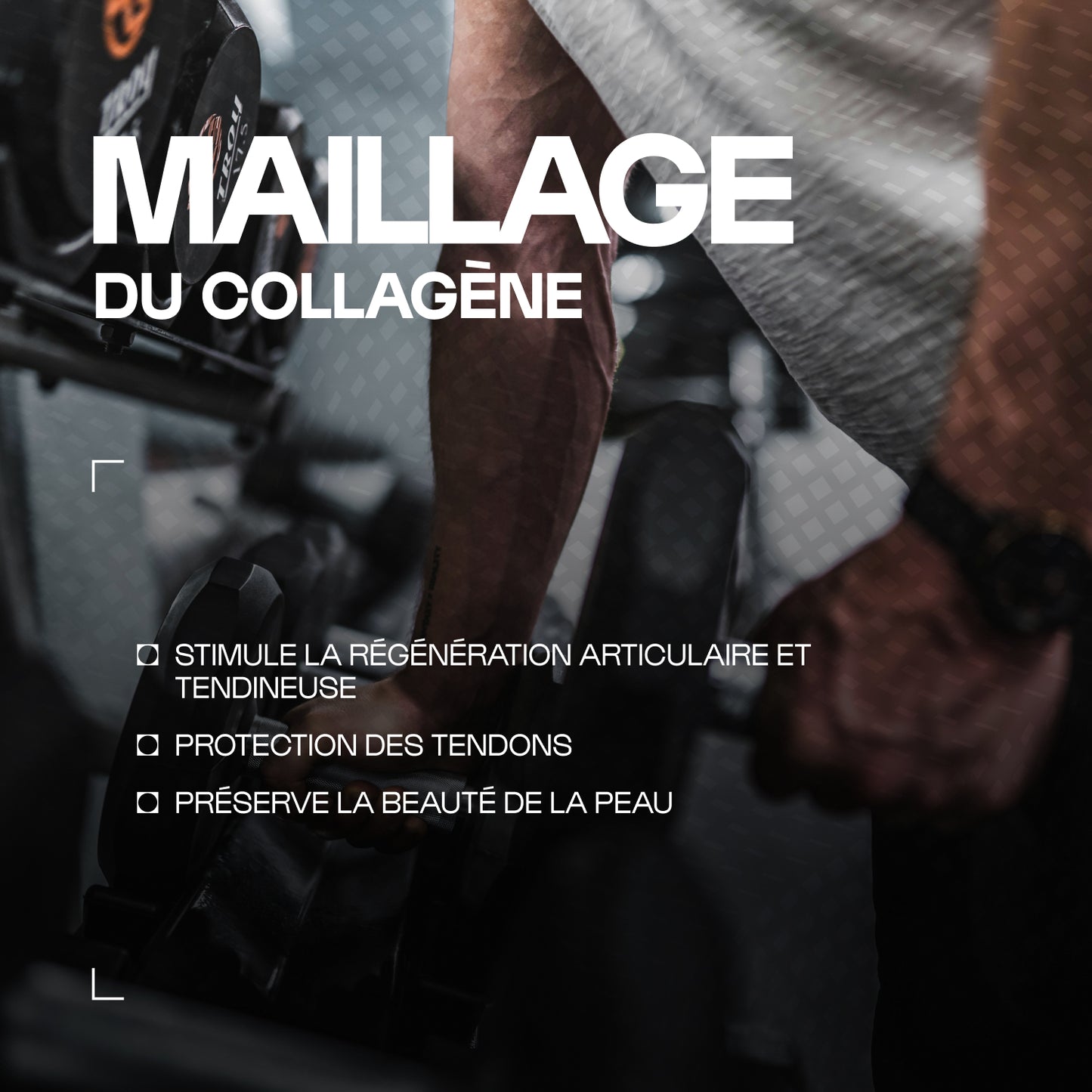 Optimsm® (Métylsulfonylméhane)