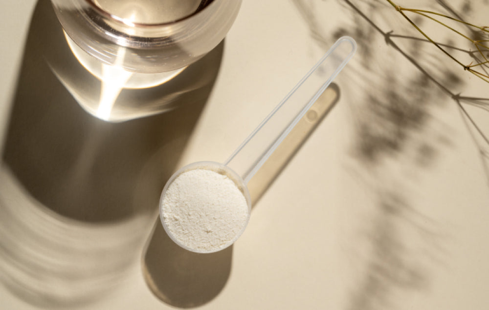 scoop de collagene
