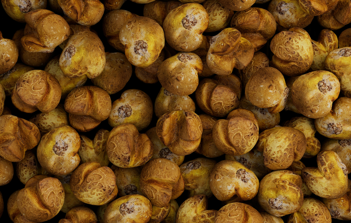 Les bienfaits des noix du brésil