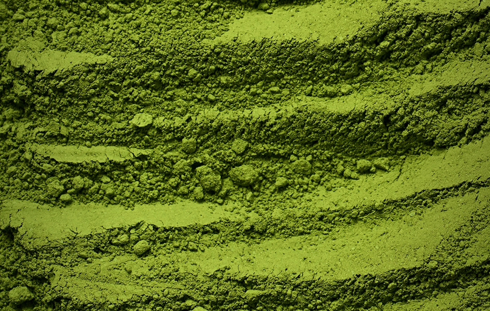 matcha en poudre