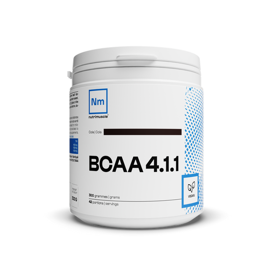 BCAA 4.1.1 Pulverhersteller