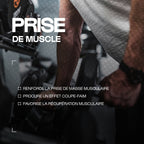 Protéine d'œuf en poudre