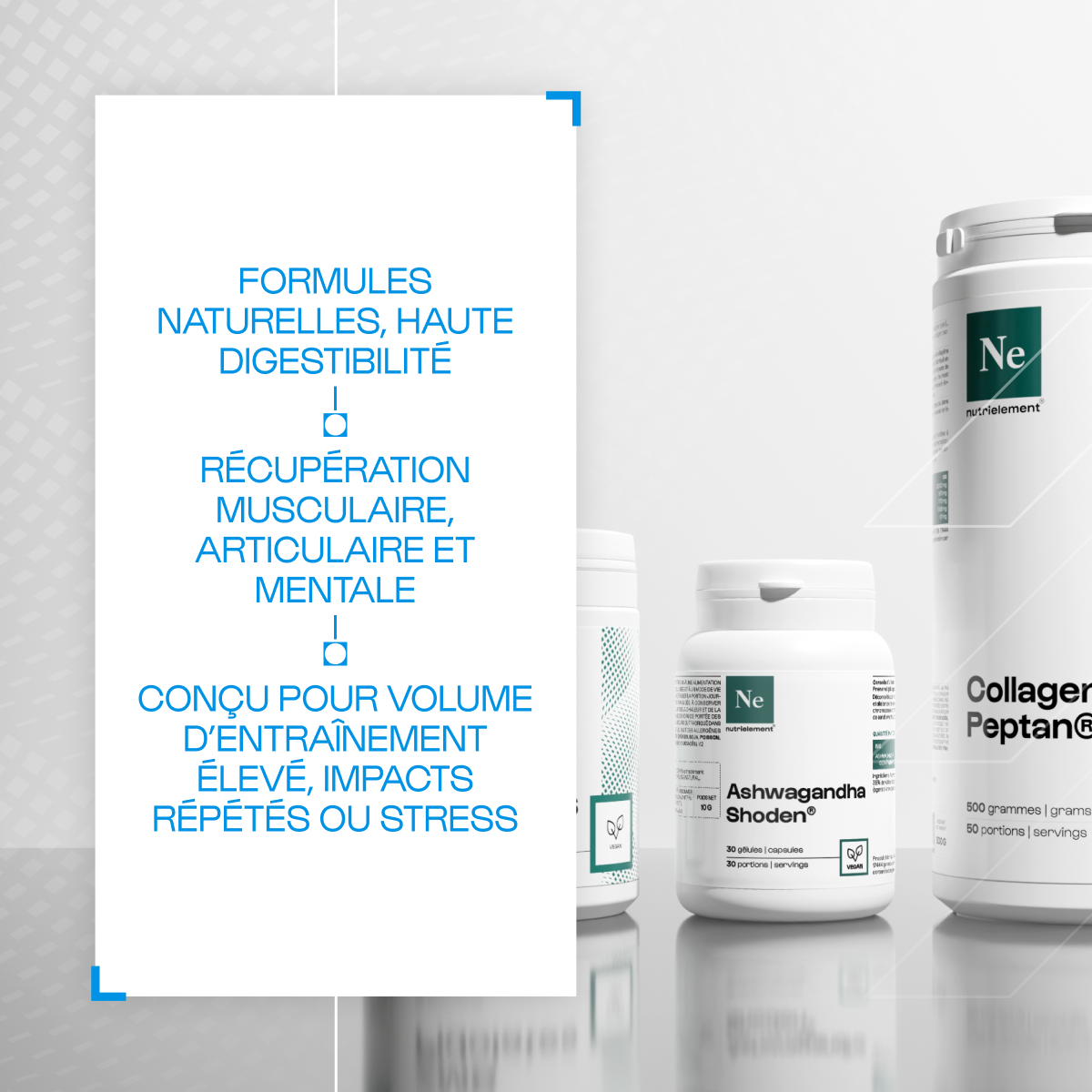 Pack Récupération 360°