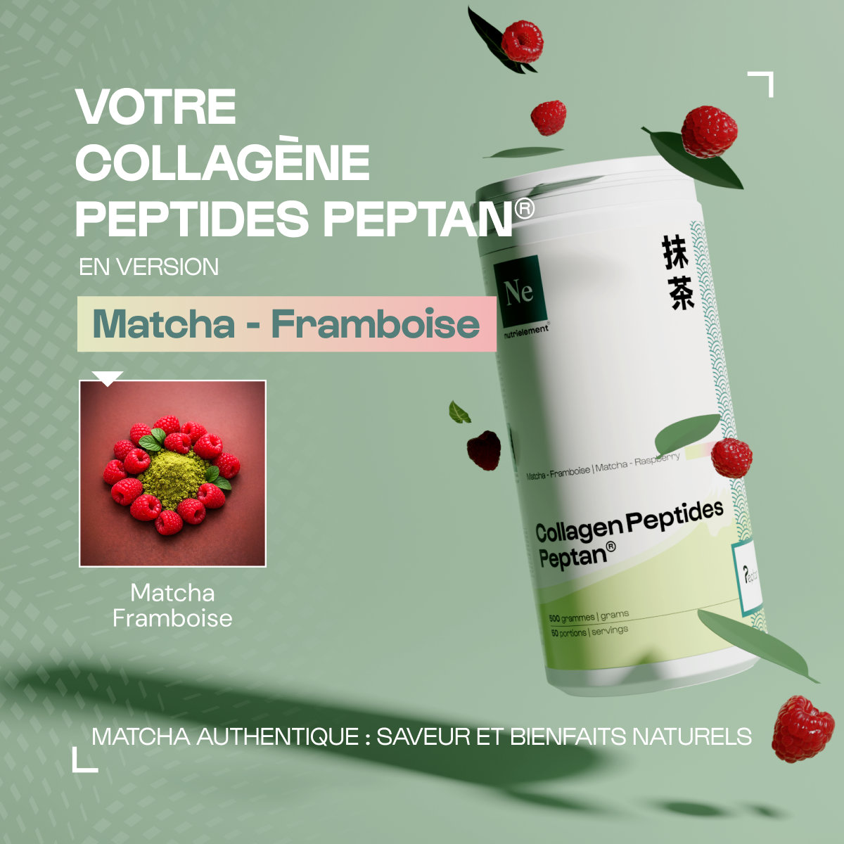 Collagène Peptides Peptan® en poudre