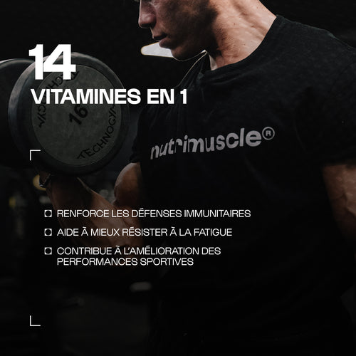 Multivitamin Max Pulver