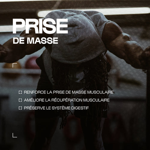 Musclemasse - harter Gewinner
