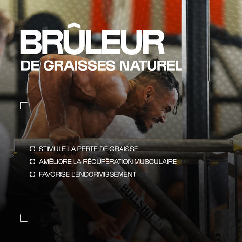 Natural Bio Burner: Bio-Grüntee- & Mate-Mischung - Burner