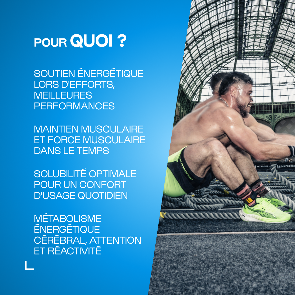 Créatine Micronisée (Opticreatine™)