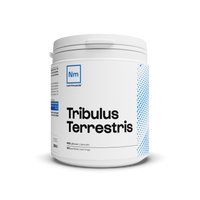 Tribulus terrestris