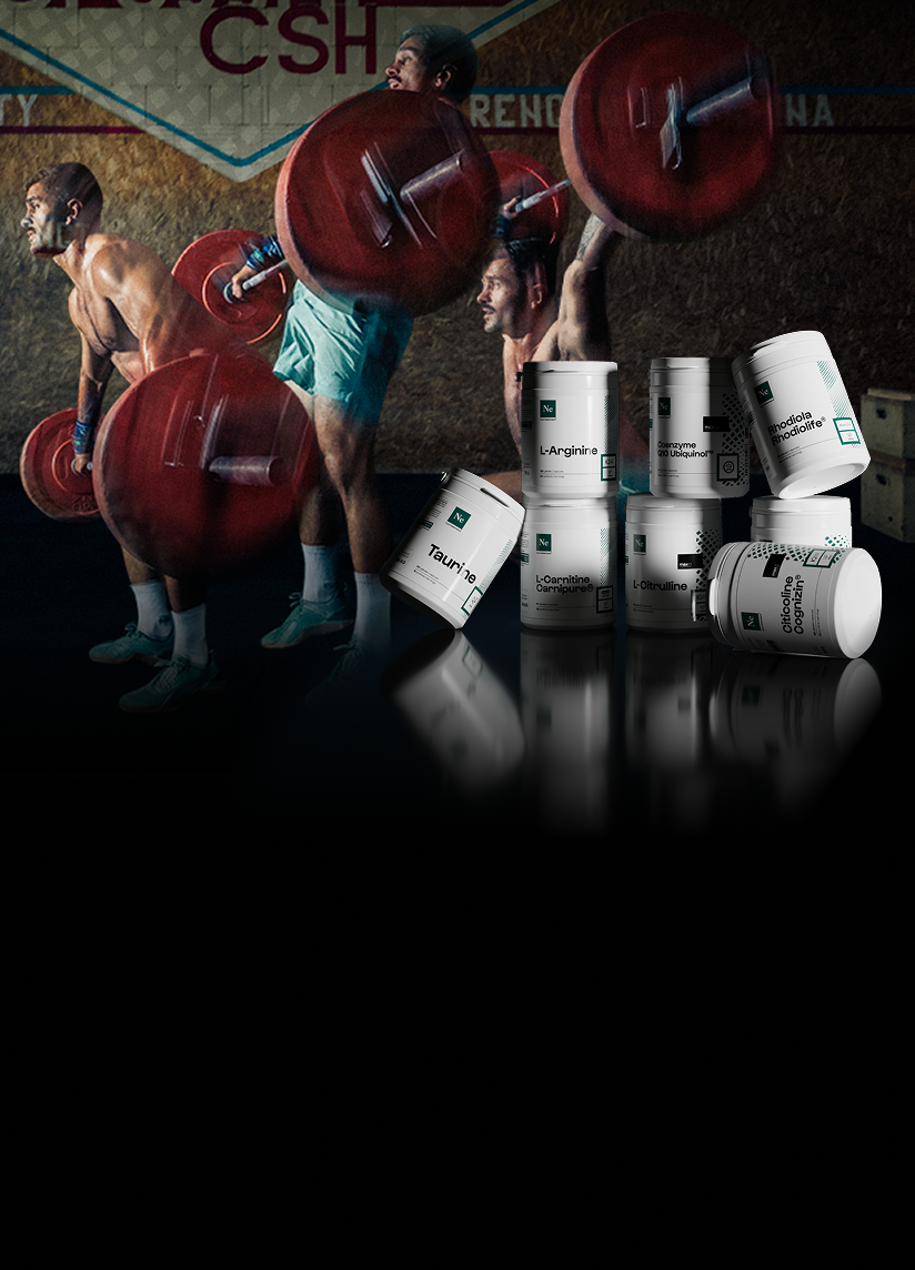 Les routines Nutrimuscle